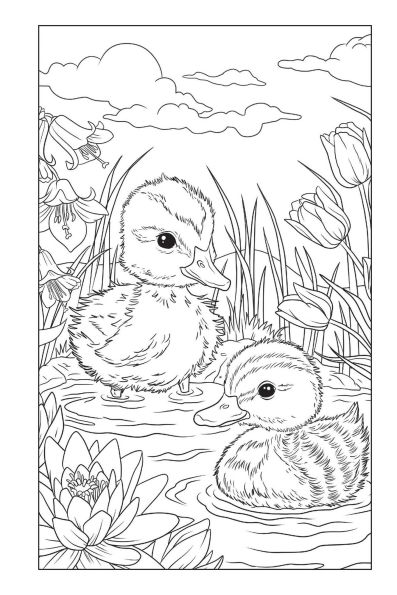 Blossoms and Blooms Coloring