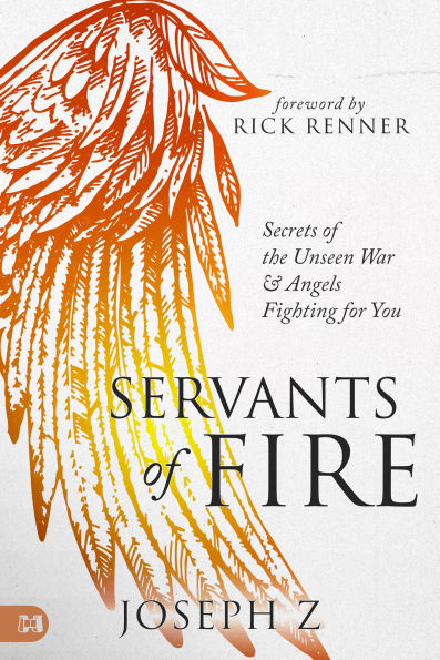 Servants of Fire: Secrets the Unseen War and Angels Fighting For You