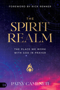 Free downloading of books in pdf format The Spirit Realm: The Place We Work with God in Prayer 9781667503516