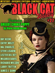 Title: Black Cat Weekly #27, Author: Wildside Press