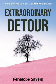 Title: Extraordinary Detour: True Stories of Life, Death and Miracles, Author: Penelope Silvers