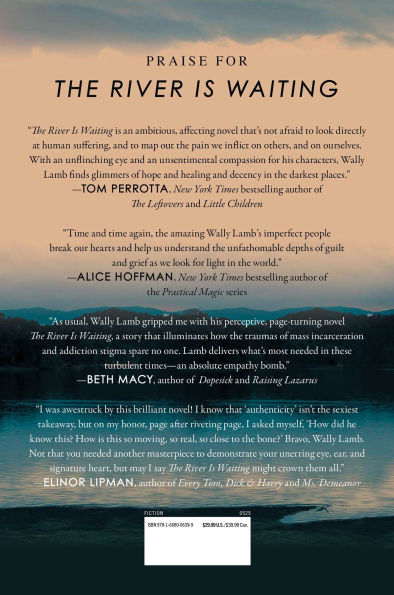 The River Is Waiting: A Novel