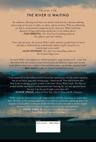 The River Is Waiting: A Novel