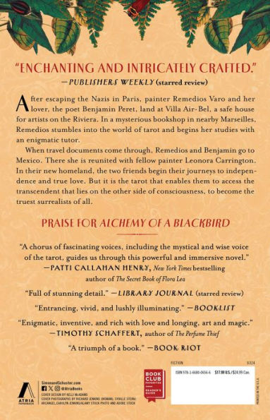 Alchemy of A Blackbird: Novel