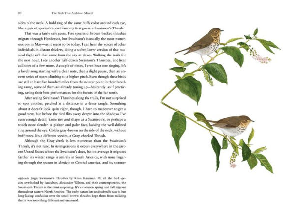 the Birds That Audubon Missed: Discovery and Desire American Wilderness