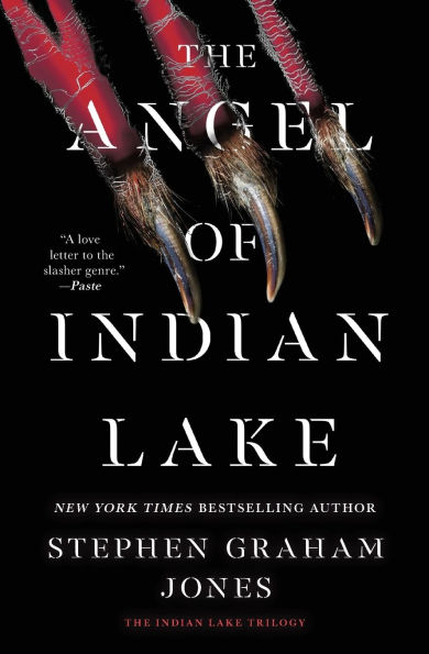 The Angel of Indian Lake (Indian Trilogy #3)