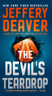 The Devil's Teardrop: A Novel of the Last Night of the Century