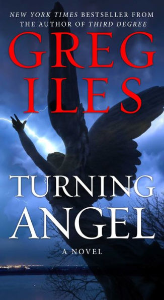 Turning Angel: A Novel