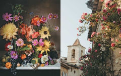 Alternative view 6 of The Flowers of Provence