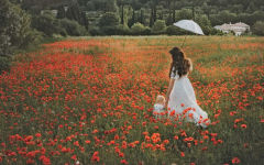 Alternative view 8 of The Flowers of Provence