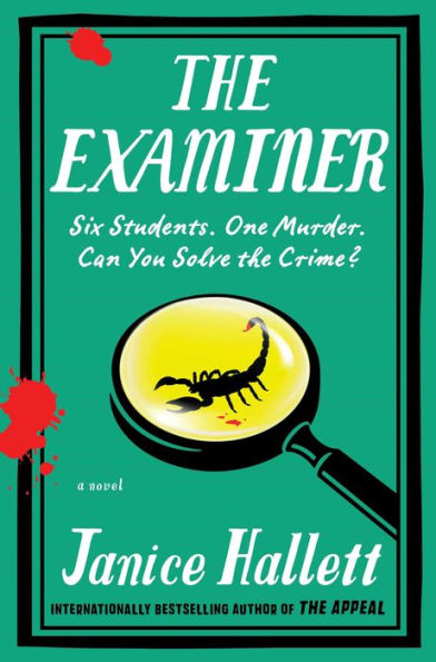 The Examiner: A Novel