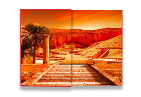 The King's Ransom: A Novel