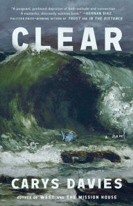 Audio book free downloads Clear: A Novel English version