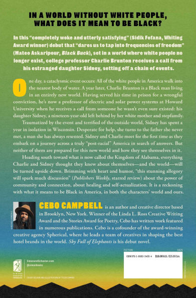 Sky Full of Elephants: A Novel