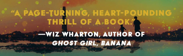 When the Fireflies Dance: A Novel