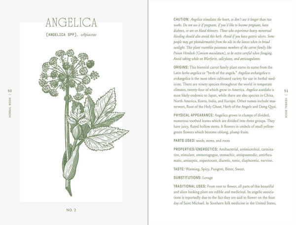 The Complete Folk Herbal: An Illustrated Guide to Natural Remedies and Everyday Healing