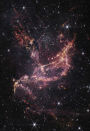 Alternative view 5 of The Secret Life of the Universe: An Astrobiologist's Search for the Origins and Frontiers of Life