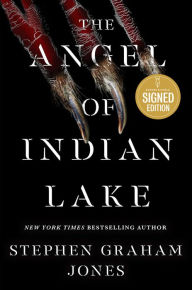 Pdf free downloads ebooks The Angel of Indian Lake