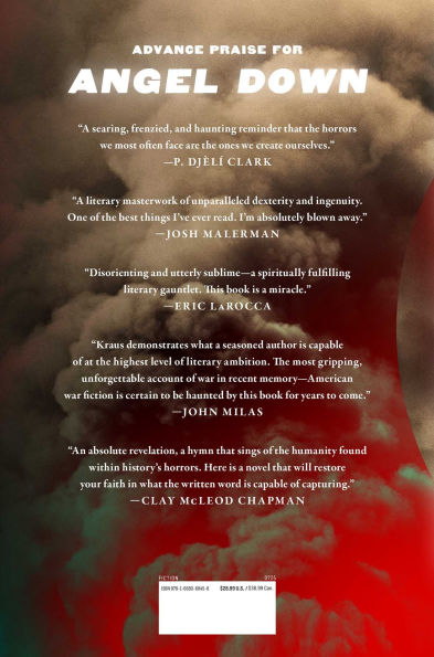 Angel Down: A Novel