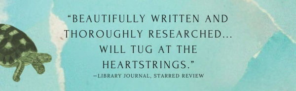 The Tortoise's Tale: A Novel