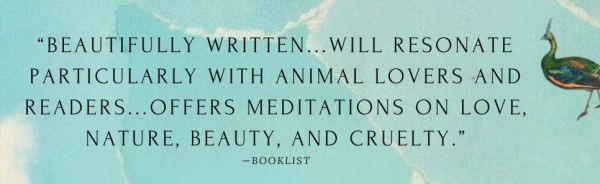 The Tortoise's Tale: A Novel