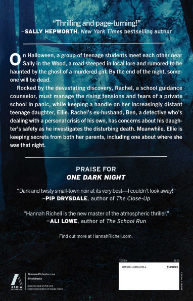 One Dark Night: A Novel