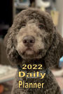 2022 Daily Planner Appointment Book Calendar - Brown Poodle Dog: Great Gift Idea for Poodle Dog Lover - Daily Planner Appointment Book Calendar