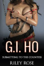 G.I. Ho: Submitting to The Countess