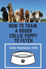 How To Train A Rough Collie Puppy To Fetch: Dog Training Tips: