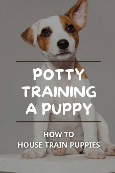 Potty Training A Puppy: How To House Train Puppies: