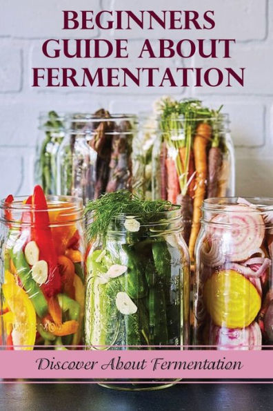 Beginners Guide About Fermentation: Discover About Fermentation: