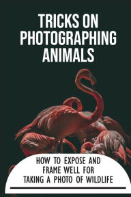 Title: Tricks On Photographing Animals: How To Expose And Frame Well For Taking A Photo Of Wildlife:, Author: Renetta Peraha