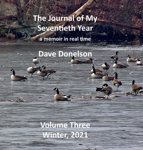 The Journal of my Seventieth Year: Winter 2021:a memoir in real time