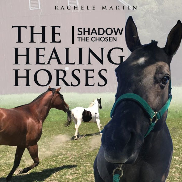 The Healing Horses Shadow the Chosen