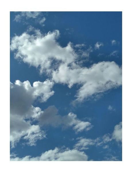 Art of Leaves - Images in Black & White