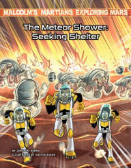 Title: The Meteor Shower: Seeking Shelter, Author: Jason M Burns