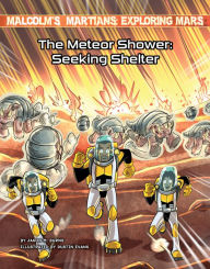 Title: The Meteor Shower: Seeking Shelter, Author: Jason M. Burns