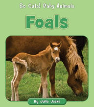 Title: Foals, Author: Julia Jaske