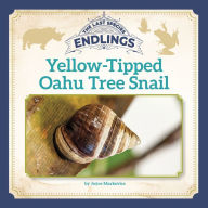 Title: Yellow-Tipped Oahu Tree Snail, Author: Joyce Markovics