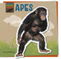 Apes