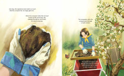 Alternative view 2 of Inside the Compost Bin