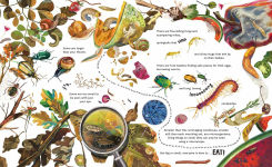 Alternative view 4 of Inside the Compost Bin