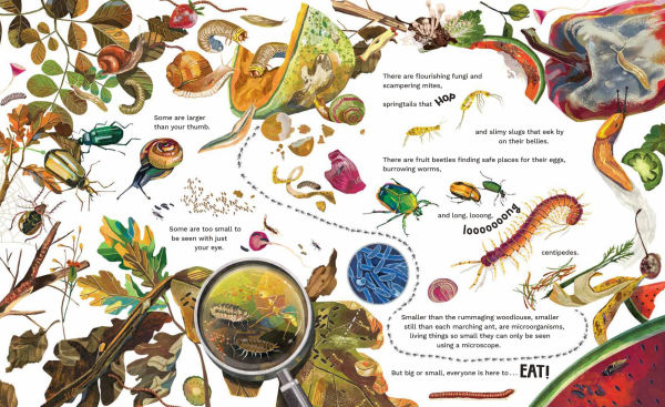 Inside the Compost Bin