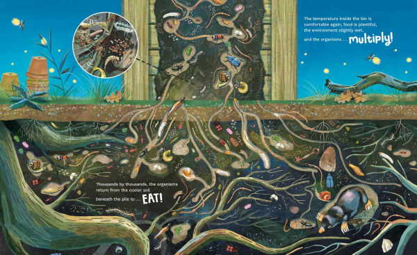 Inside the Compost Bin