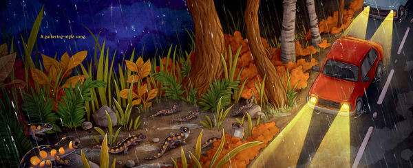 Salamander Song