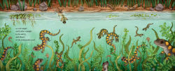 Alternative view 4 of Salamander Song