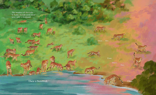 Cheetahs Return to India: The True Story of Aasha and Pavan