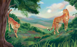Alternative view 6 of Cheetahs Return to India: The True Story of Aasha and Pavan