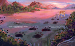 Alternative view 7 of Cheetahs Return to India: The True Story of Aasha and Pavan
