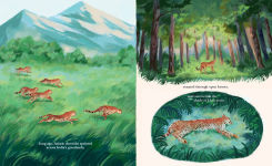 Alternative view 8 of Cheetahs Return to India: The True Story of Aasha and Pavan